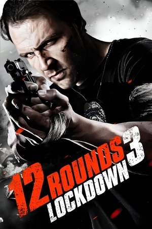 12 Rounds 3: Lockdown - Vj Junior