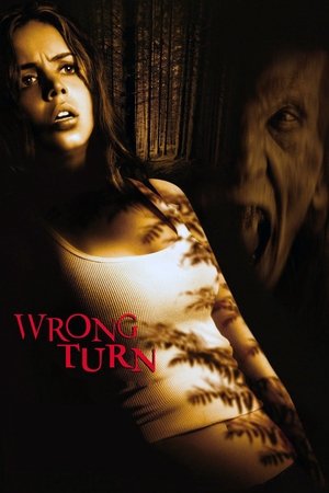 Wrong Turn - Vj Jingo