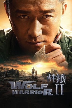 Wolf Warrior 2 by Vj Junior