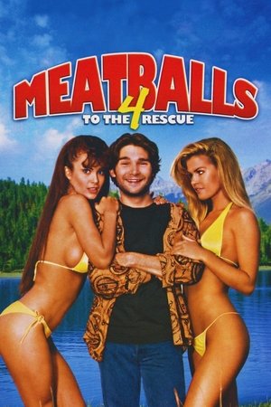 Meatballs 4: To the Rescue 2 - VJ Soul
