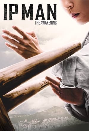 Ip Man: The Awakening - VJ Ice P