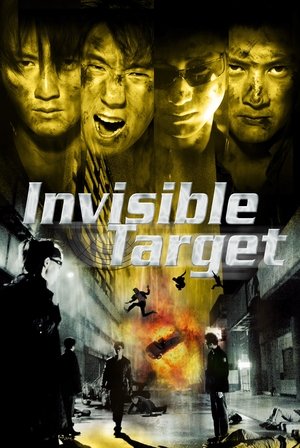 Invisible Target - Vj Junior