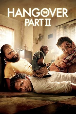 The Hangover Part II - VJ Junior