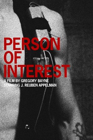 Person of Interest 2 - Vj Jingo
