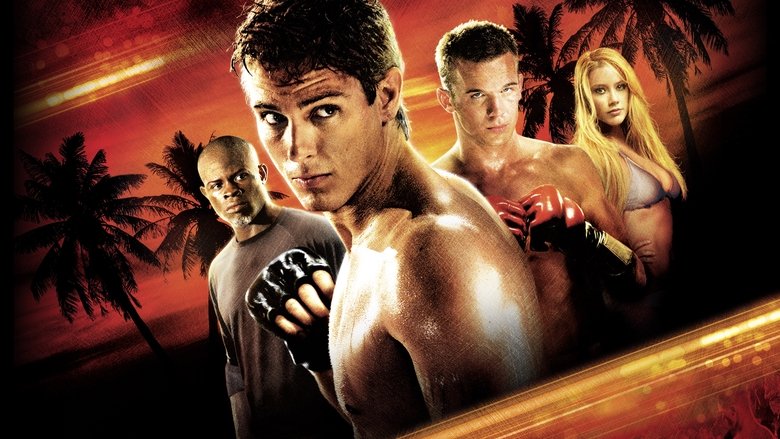 Never Back Down - VJ Jingo
