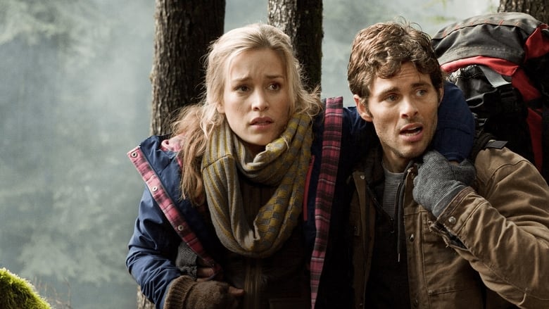 Into the Grizzly Maze - Vj Junior