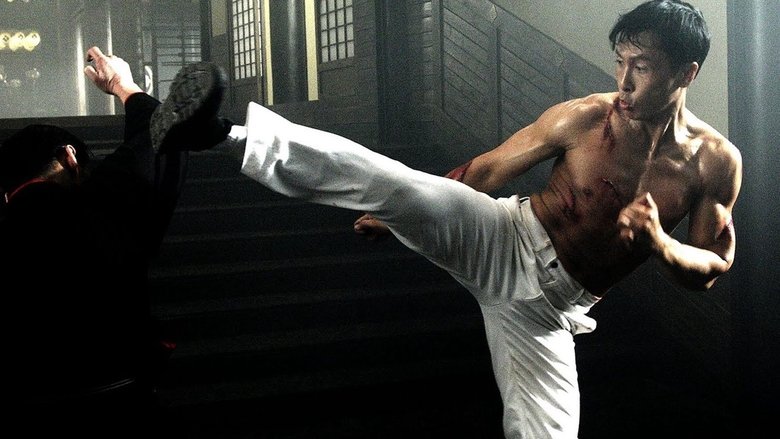 Legend of the Fist: The Return of Chen Zhen - Vj Junior