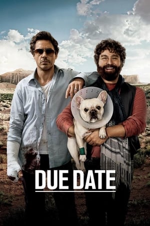 Due Date - VJ Junior