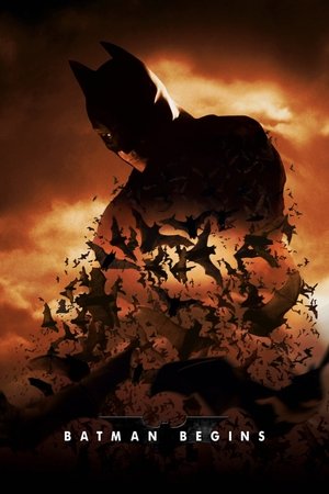 Batman Begins - Vj Junior