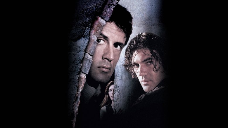 Assassins - Vj Junior