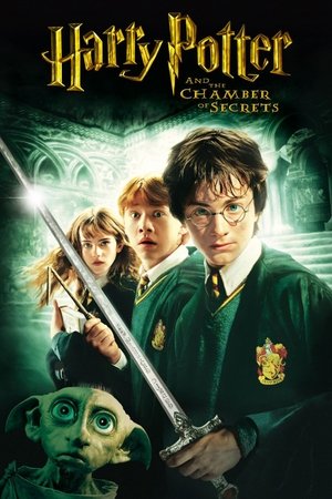 Harry Potter and the Chamber of Secrets - VJ Junior