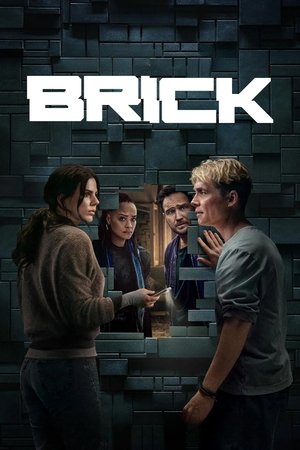 Brick - VJ Junior