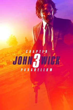 John Wick: Chapter 3 - VJ Emmy