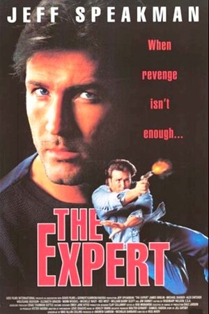 The Expert - VJ Jingo