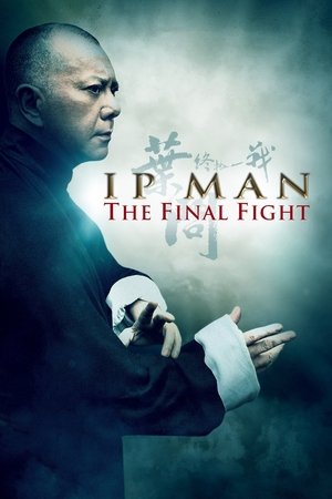 Ip Man: The Final Fight - VJ Junior