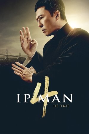 Ip Man 4 - VJ Ice P