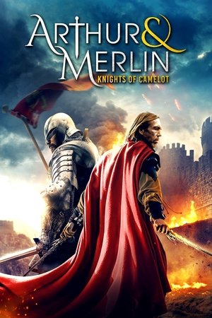 Arthur & Merlin: Knights of Camelot - VJ Ice P