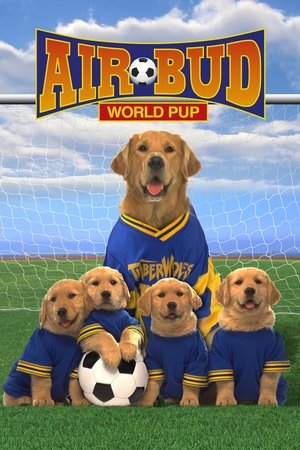 Air Bud: World Pup - VJ Jingo