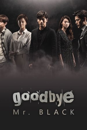 Goodbye Mr. Black - VJ Waza